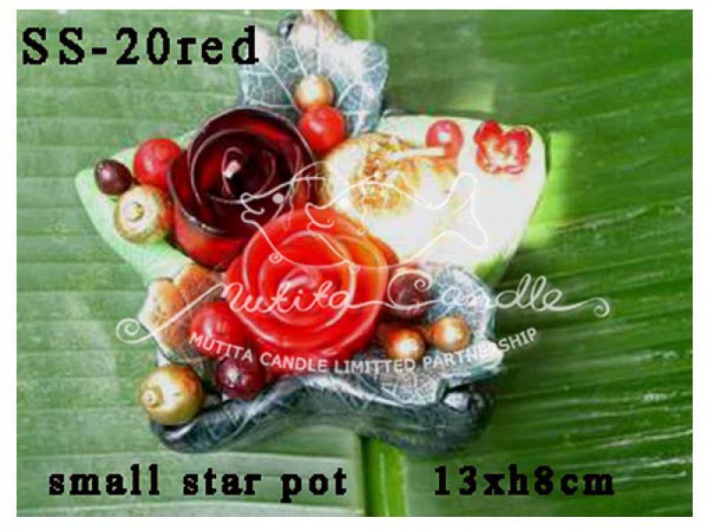 เทียนหอม เดชอุดม : CHRISTMAS COLOUR SET3|flower candles from Thailand for christmas seasoning
RICH ROSES BOUQUET WITH FRUIT AND CHRISTMAS SPICE|SS-20RED|Small star in pot 13 x h8 cm