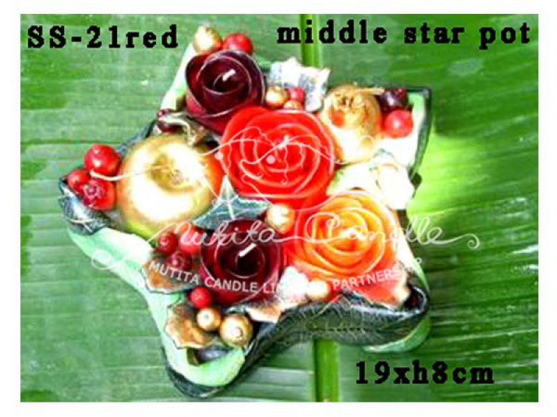 เทียนหอม เดชอุดม : CHRISTMAS COLOUR SET3|flower candles from Thailand for christmas seasoning
RICH ROSES BOUQUET WITH FRUIT AND CHRISTMAS SPICE|SS-21RED|Middle star in pot 19 x h8 cm