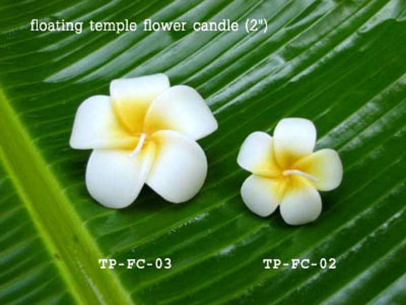 เทียนหอม เดชอุดม :  CATALOGUE03|Small floating flower candles from Thailand
FLOATING FLOWER CANDLES|TP-FC-02|2 Inch