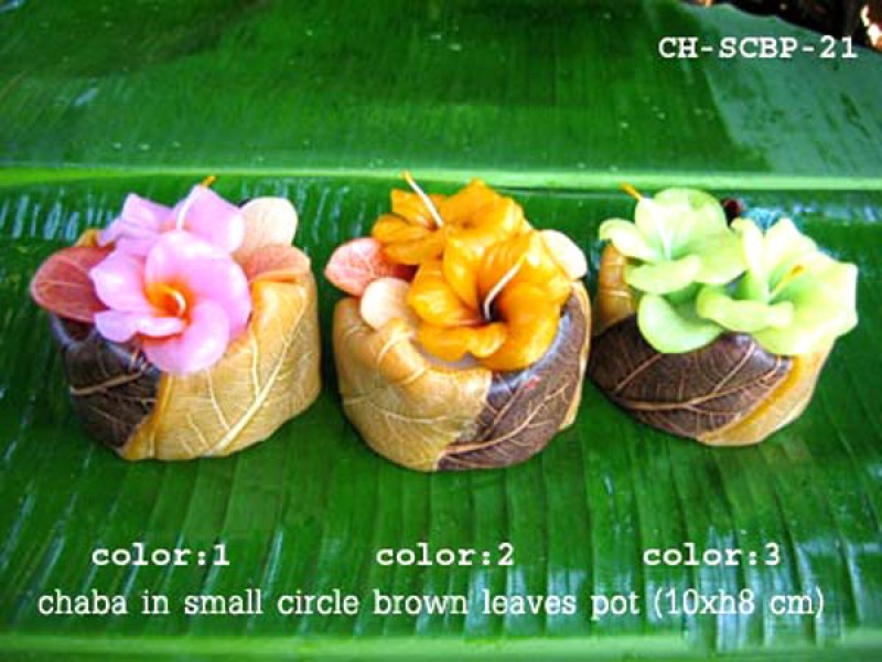 เทียนหอม เดชอุดม : CATALOGUE02|small items of flower candles from Thailand for any ocassions
A TOUCH OF THAI, MIXED WITH WILD FLOWER CANDLES|CH-SCBP-21|small circle pot 10 x h 8 cm