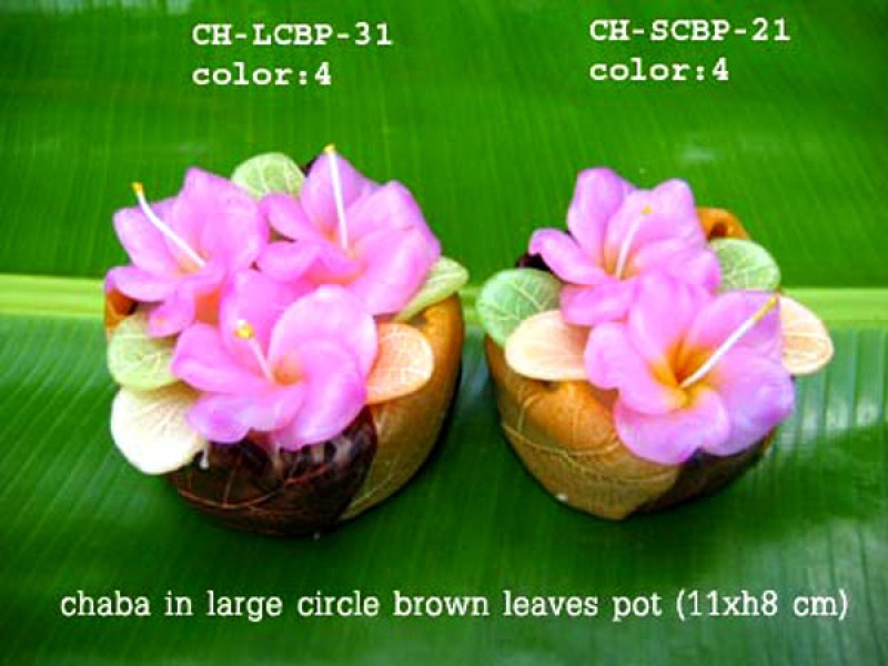 เทียนหอม เดชอุดม : CATALOGUE02|small items of flower candles from Thailand for any ocassions
A TOUCH OF THAI, MIXED WITH WILD FLOWER CANDLES|CH-SCBP-21|small circle pot 10 x h 8 cm