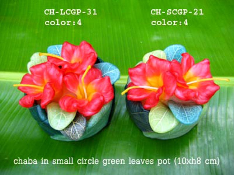 เทียนหอม เดชอุดม : CATALOGUE02|small items of flower candles from Thailand for any ocassions
A TOUCH OF THAI, MIXED WITH WILD FLOWER CANDLES|CH-LCBP-31|small circle pot 10 x h 8 cm