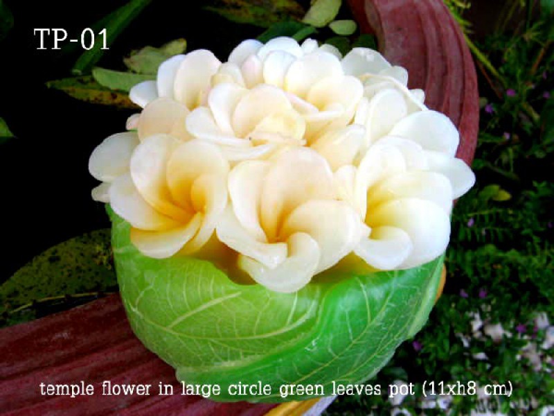 เทียนหอม เดชอุดม : CATALOGUE02|small items of flower candles from Thailand for any ocassions
A TOUCH OF THAI, MIXED WITH WILD FLOWER CANDLES|TP-01|large circle pot  11 x h8 cm