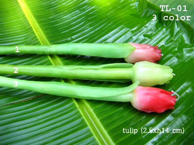 เทียนหอม เดชอุดม : CATALOGUE02|small items of flower candles from Thailand for any ocassions
A TOUCH OF THAI, MIXED WITH WILD FLOWER CANDLES|TL-01|2.5 x h14 cm