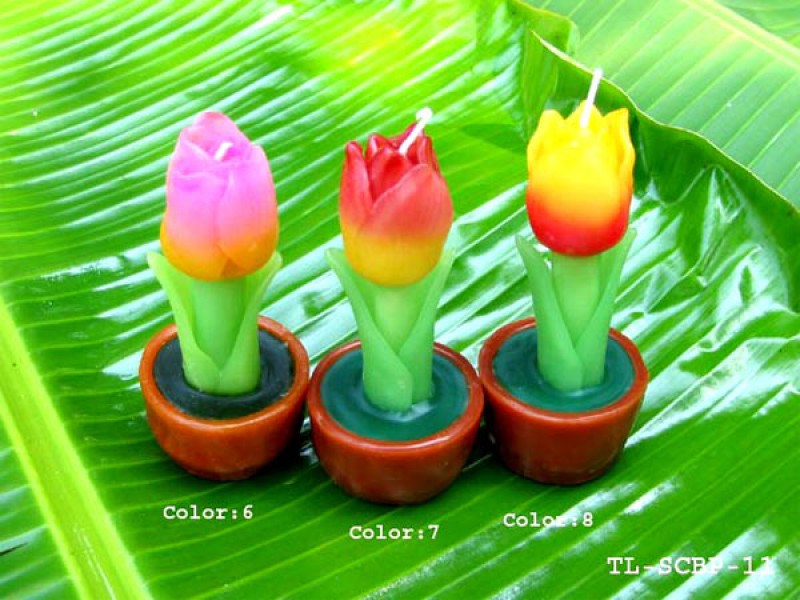 เทียนหอม เดชอุดม : CATALOGUE02|small items of flower candles from Thailand for any ocassions
A TOUCH OF THAI, MIXED WITH WILD FLOWER CANDLES|TL-SCBP-11|6 x h 13 cm