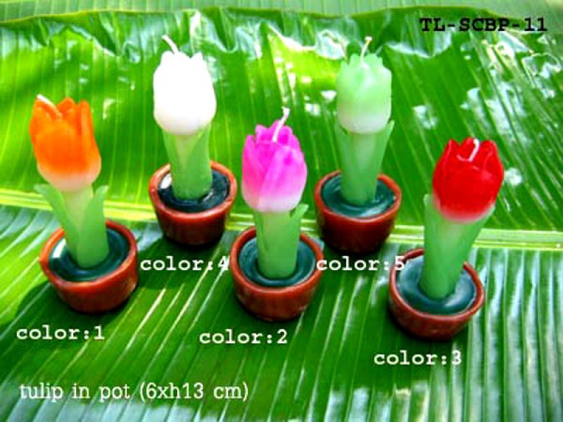 เทียนหอม เดชอุดม : CATALOGUE02|small items of flower candles from Thailand for any ocassions
A TOUCH OF THAI, MIXED WITH WILD FLOWER CANDLES|TL-SCBP-11|6 x h 13 cm